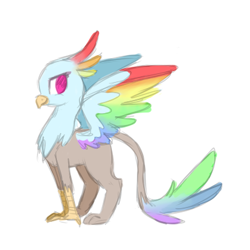 Size: 400x400 | Tagged: safe, artist:breadcipher, derpibooru import, rainbow dash, griffon, griffonized, simple background, sketch, solo, species swap, spread wings, white background