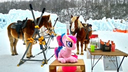 Size: 2048x1152 | Tagged: safe, artist:hihin1993, princess cadance, horse, pony, horse-pony interaction, irl, irl horse, japan, photo, plushie, snow, solo, teen princess cadance