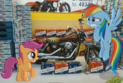 Size: 1280x866 | Tagged: safe, artist:wolfjava, rainbow dash, scootaloo, pegasus, pony, beer, motorcycle, ponies in real life, walmart