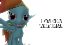 Size: 960x600 | Tagged: safe, artist:pinkie diane roosevelt phd, rainbow dash, pegasus, pony, 3d, gmod, reaction image, solo