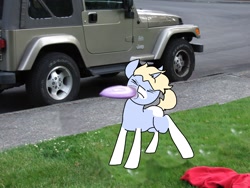 Size: 2848x2136 | Tagged: safe, artist:nootaz, oc, oc only, oc:nootaz, pony, unicorn, abuse, frisbee, jeep, jeep wrangler, meme, noot abuse, ponified animal photo, solo