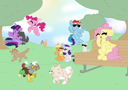 Size: 1528x1080 | Tagged: safe, artist:nootaz, derpibooru import, applejack, discord, fluttershy, pinkie pie, rainbow dash, rarity, twilight sparkle, twilight sparkle (alicorn), alicorn, dog, earth pony, pegasus, pony, unicorn, art pack, ball, bench, cute, diapinkes, jackabetes, laughing, mane six, shyabetes, sunglasses, tree, twiabetes