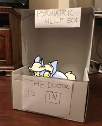 Size: 540x667 | Tagged: safe, artist:nootaz, oc, oc only, oc:nootaz, pony, unicorn, box, cardboard box, charlie brown, chibi, cute, female, irl, looking up, lucy van pelt, mare, peeking, photo, ponies in real life, pony in a box, smol, solo