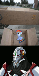 Size: 497x960 | Tagged: safe, rainbow dash, pegasus, pony, fanfic:my little dashie, dashie meme, evil people finding dash meme, exploitable meme, filly, meme, super robot wars