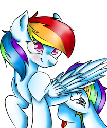 Size: 5000x6000 | Tagged: safe, artist:rayful, derpibooru import, rainbow dash, pegasus, pony, absurd resolution, solo