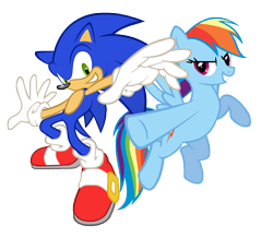 Size: 6900x6000 | Tagged: safe, artist:geonine, rainbow dash, pegasus, pony, absurd resolution, crossover, request, simple background, sonic the hedgehog, sonic the hedgehog (series), transparent background, vector