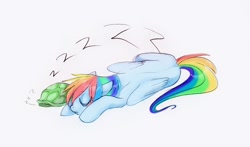 Size: 979x576 | Tagged: safe, artist:opalacorn, rainbow dash, tank, pegasus, pony, sleeping, zzz