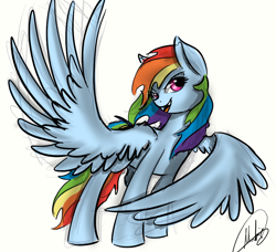 Size: 800x728 | Tagged: safe, artist:xxmarkingxx, derpibooru import, rainbow dash, pegasus, pony, simple background, sketchy, solo, spread wings