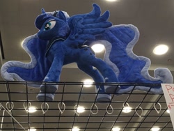 Size: 1024x768 | Tagged: safe, artist:equestriaplush, artist:seahawk270, princess luna, alicorn, pony, bronycon, bronycon 2018, cute, female, irl, mare, photo, plushie, spread wings, wings