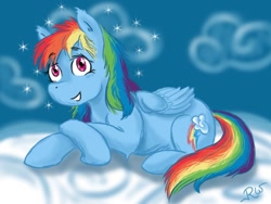 Size: 1024x768 | Tagged: safe, artist:h2o-forever, rainbow dash, pegasus, pony, detailed background, female, mare, solo