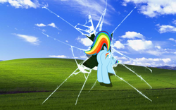 Size: 1920x1200 | Tagged: safe, artist:drahkenkahn, rainbow dash, pegasus, pony, plot, solo, wallpaper, windows xp