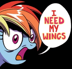 Size: 548x527 | Tagged: safe, derpibooru import, rainbow dash, pegasus, pony, spoiler:comic, spoiler:comicff25, image macro, meme, solo