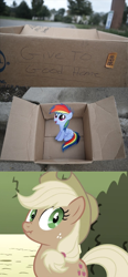 Size: 488x1054 | Tagged: safe, derpibooru import, applejack, rainbow dash, earth pony, pegasus, pony, dashie meme, evil people finding dash meme, exploitable meme, liar face, liarjack, meme, obligatory pony, scrunchy face