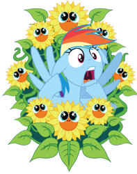 Size: 600x760 | Tagged: safe, artist:xkappax, derpibooru import, rainbow dash, pegasus, pony, do princesses dream of magic sheep, beautiful, floppy ears, nightmare sunflower, screaming, solo, sunflower, uvula