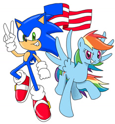 Size: 1325x1426 | Tagged: safe, artist:megaartist923, rainbow dash, pegasus, pony, 4th of july, crossover, flag, sonic the hedgehog, sonic the hedgehog (series), united states