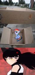 Size: 1316x2796 | Tagged: safe, derpibooru import, rainbow dash, pegasus, pony, fanfic:my little dashie, blake belladonna, box, crossover, dashie meme, exploitable meme, good people finding dash meme, meme, rwby, sitting, smiling