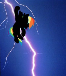 Size: 358x412 | Tagged: safe, rainbow dash, pegasus, pony, batman, lightning, solo, the dark knight returns