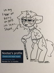 Size: 2448x3264 | Tagged: safe, artist:nootaz, oc, oc:nootaz, pony, unicorn, female, mare, older, walking stick