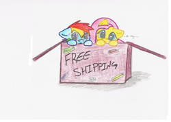 Size: 1015x721 | Tagged: safe, artist:umbreon24, fluttershy, rainbow dash, pegasus, pony, :o, box, cardboard box, chibi, cute, dashabetes, female, filly, floppy ears, free shipping, head tilt, leaning, looking at you, oh my, open mouth, pony in a box, shyabetes, simple background, sweat, traditional art, white background