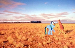 Size: 620x400 | Tagged: safe, artist:snakeman1992, rainbow dash, kangaroo, pegasus, pony, australia, outback, ponies in real life, train, vector