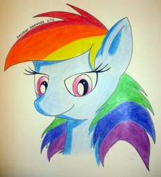 Size: 731x800 | Tagged: safe, artist:passer-in-the-storm, derpibooru import, rainbow dash, pegasus, pony, colored pencil drawing, solo, traditional art