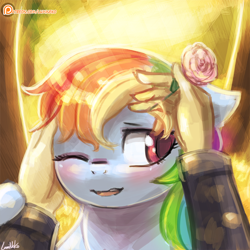 Size: 750x750 | Tagged: safe, artist:lumineko, derpibooru import, rainbow dash, human, pony, 30 minute art challenge, blushing, female, flower, flower in hair, hand, mare, one eye closed, patreon, patreon logo, petting, rose