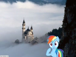 Size: 1024x768 | Tagged: safe, rainbow dash, irl, photo, ponies in real life, solo