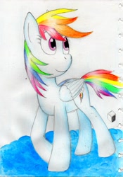 Size: 2454x3503 | Tagged: safe, derpibooru import, rainbow dash, pegasus, pony, pencil colour, solo, traditional art