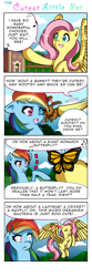 Size: 1500x4500 | Tagged: safe, artist:missyasylum, derpy hooves, fluttershy, rainbow dash, pegasus, pony, comic, female, mare