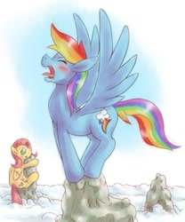 Size: 747x900 | Tagged: safe, artist:rigi, fluttershy, rainbow dash, pegasus, pony, cloud, cloudy, mountain, pixiv, screaming