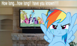 Size: 1280x765 | Tagged: safe, artist:naruto46r, screencap, rainbow dash, fanfic:my little dashie, angry, bronybait, caption, crying, feels, intro, irl, photo, ponies in real life, reference, room, television, vector