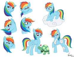 Size: 900x698 | Tagged: safe, artist:vendaris, rainbow dash, tank, pegasus, pony, bandage, cloud, heart, injured