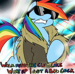 Size: 866x857 | Tagged: safe, artist:reiduran, rainbow dash, pegasus, pony, clothes, coat, female, implied futa, implied futadash, macklemore, mare, rainbow dash always dresses in style, solo, sunglasses, swag, thrift shop, vulgar