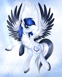 Size: 1600x2000 | Tagged: safe, artist:puggie, oc, oc only, pegasus, pony, cloud, commission, flying, solo, spread wings, wings