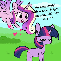 Size: 1650x1650 | Tagged: safe, artist:tjpones, edit, princess cadance, twilight sparkle, unicorn twilight, alicorn, pony, unicorn, female, flying, grumpy, grumpy twilight, mare