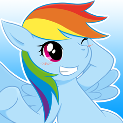 Size: 1000x1000 | Tagged: safe, artist:tetsukire, rainbow dash, pegasus, pony, blushing, pixiv, solo