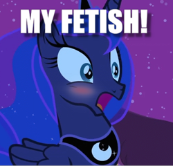 Size: 508x488 | Tagged: safe, edit, edited screencap, screencap, princess luna, alicorn, pony, luna eclipsed, blushing, cropped, dialogue, image macro, meme, solo, that is my fetish