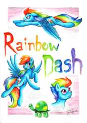 Size: 1645x2338 | Tagged: safe, artist:puggie, rainbow dash, tank, pegasus, pony, for sale, solo, traditional art, watercolor painting