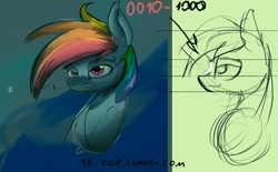 Size: 1280x793 | Tagged: safe, artist:alumx, rainbow dash, pegasus, pony, bust, diagram, portrait