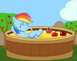 Size: 1280x1024 | Tagged: safe, artist:difyance, rainbow dash, pegasus, pony, apple cider, solo, straw, swimming