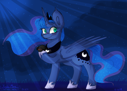 Size: 4900x3500 | Tagged: safe, artist:compassrose0425, princess luna, alicorn, pony, spider, luna eclipsed, big ears, blushing, crepuscular rays, cutie mark, ethereal mane, female, hoof hold, jewelry, mare, night, regalia, smiling, solo, starry mane, starry night, stars