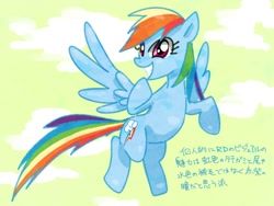 Size: 800x600 | Tagged: safe, artist:nmnkgskds, rainbow dash, pegasus, pony, japanese, pixiv, solo