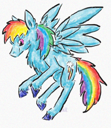 Size: 572x655 | Tagged: safe, artist:eevee33, rainbow dash, pegasus, pony, blue coat, female, mare, multicolored mane, simple background, solo, white background, wings