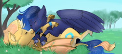 Size: 1023x460 | Tagged: safe, artist:loryska, princess luna, oc, oc:caelus, alicorn, pony, canon x oc, female, kissing, male, on back, stallion, straight