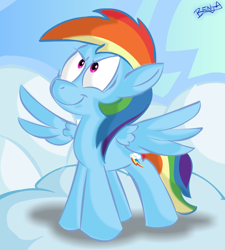 Size: 900x1000 | Tagged: safe, artist:benja, rainbow dash, pegasus, pony, blue coat, cloudsdale, female, mare, multicolored mane, solo