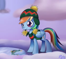 Size: 1100x1000 | Tagged: safe, artist:solar-slash, rainbow dash, pegasus, pony, clothes, hat, snow, solo, winter