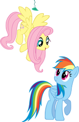 Size: 3090x4775 | Tagged: safe, artist:bernd01, fluttershy, rainbow dash, pegasus, pony, dragonshy, leaf, simple background, transparent background, vector