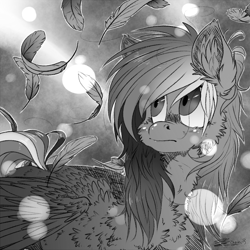 Size: 900x900 | Tagged: safe, artist:xenon, rainbow dash, pegasus, pony, feather, monochrome, solo