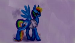 Size: 779x448 | Tagged: safe, artist:er49563, rainbow dash, pegasus, pony, blue coat, clothes, female, mare, multicolored mane, solo