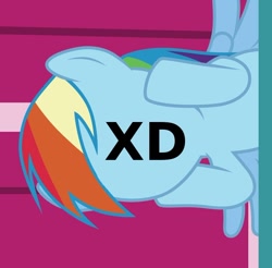 Size: 876x861 | Tagged: safe, edit, rainbow dash, pegasus, pony, reaction image, so awesome, solo, xd